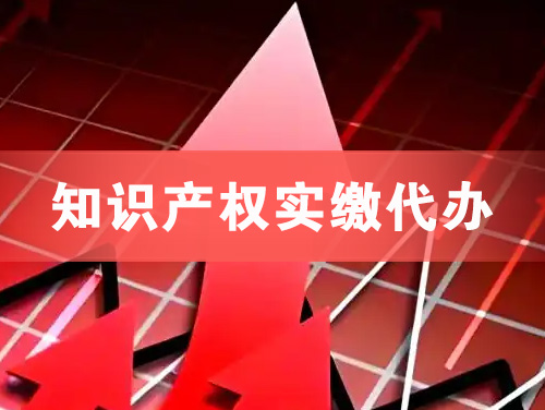 绥化知识产权实缴资本代办